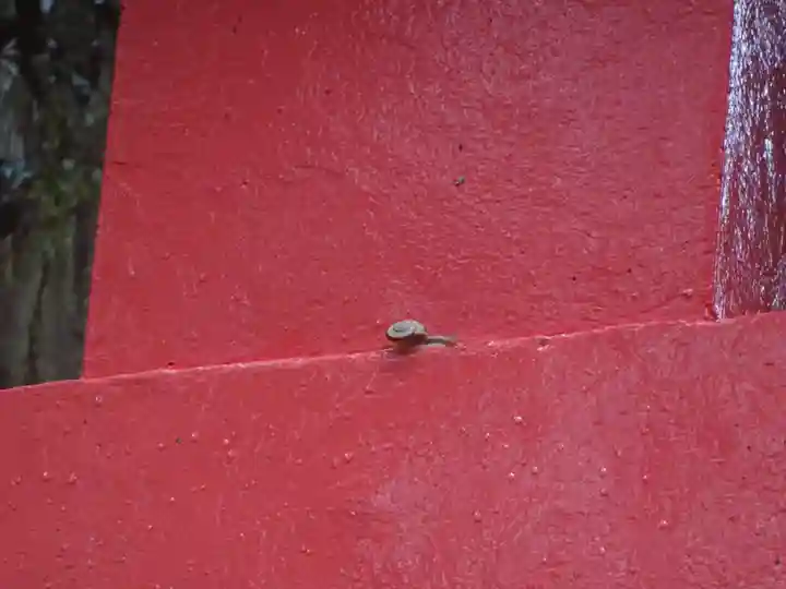 箱根神社の動物
