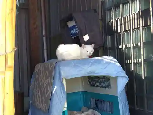 妙行寺(福井県)