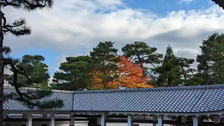 相国寺(相国承天禅寺)(京都府)