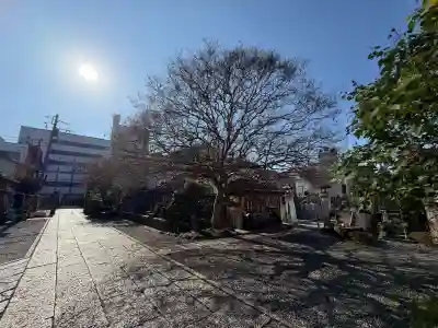 高徳寺(東京都)