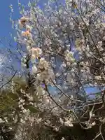 妙法寺(岐阜県)