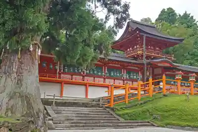 春日大社(奈良県)