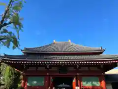 浅草寺(東京都)