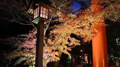 冠稲荷神社(群馬県)