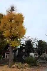 吾妻神社(神奈川県)