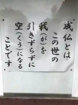 龍雲院の御朱印