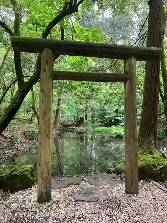 平泉寺白山神社(福井県)