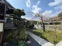 高林寺の{uncategorized: "未分類", other: "その他", undefined: "問題あり", building: "その他建物", grave: "お墓", sacred_gate: "鳥居", guardian: "狛犬", statue: "像", buddha: "仏像", history: "歴史", nature: "自然", garden: "庭園", animal: "動物", pagoda: "塔", temizu: "手水舎", mountain_gate: "山門・神門", sanctuary: "本殿・本堂", subordinate: "末社・摂社", art: "芸術", scenery: "景色", jizo: "地蔵", ema: "絵馬", goshuin: "御朱印", omikuji: "おみくじ", items: "授与品その他", amulet: "お守り", goshuincho: "御朱印帳", eats: "食事", festival: "お祭り", votive_dance: "神楽", shichigosan: "七五三参", wedding: "結婚式", experience: "体験その他", initially: "初詣", around: "周辺", anti_infection: "感染症対策"}