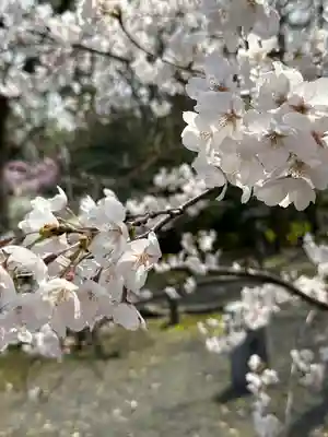 氣比神宮(福井県)