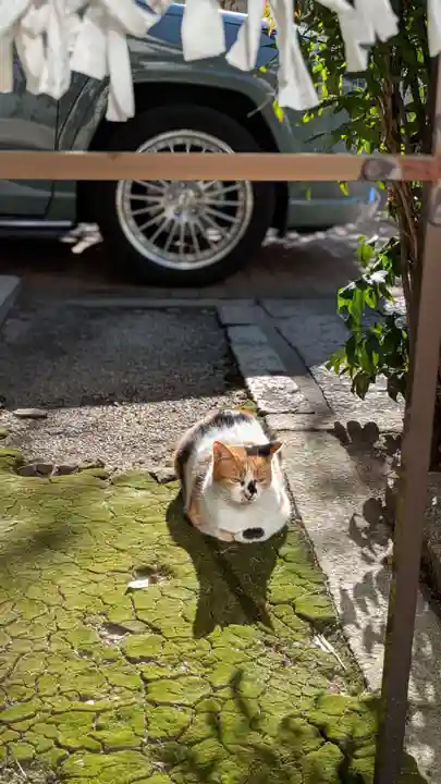 京都大神宮(京都府)
