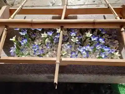 晴明神社の手水舎