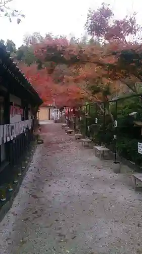 三井寺（平等寺）の自然