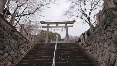 賀茂別雷神社の鳥居