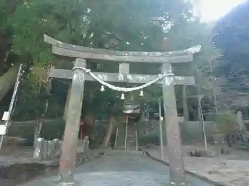 櫛津神社(宮崎県)