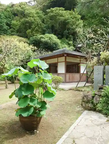 岩殿寺(神奈川県)
