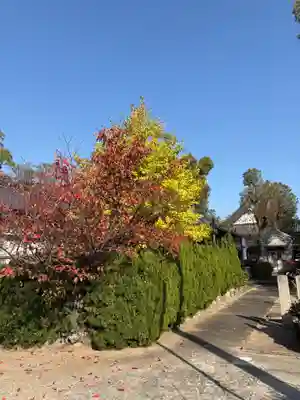 一乗院(和歌山県)