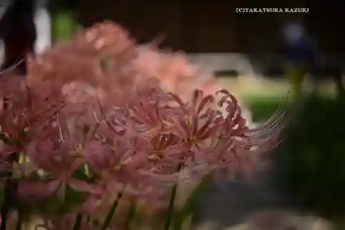 横浜　西方寺(神奈川県)