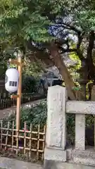 赤坂氷川神社(東京都)