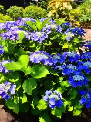 光明院(東京都)