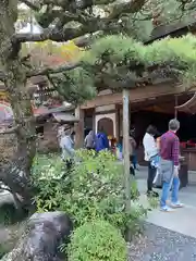 目の霊山　油山寺(静岡県)