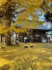 大宮神社(岩手県)