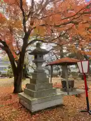 糠部神社の自然