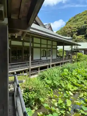 光明寺(神奈川県)