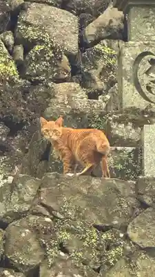 大威徳寺(大阪府)