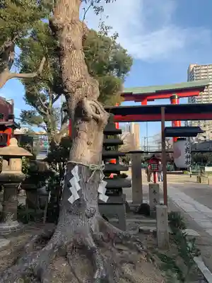 尼崎えびす神社(兵庫県)