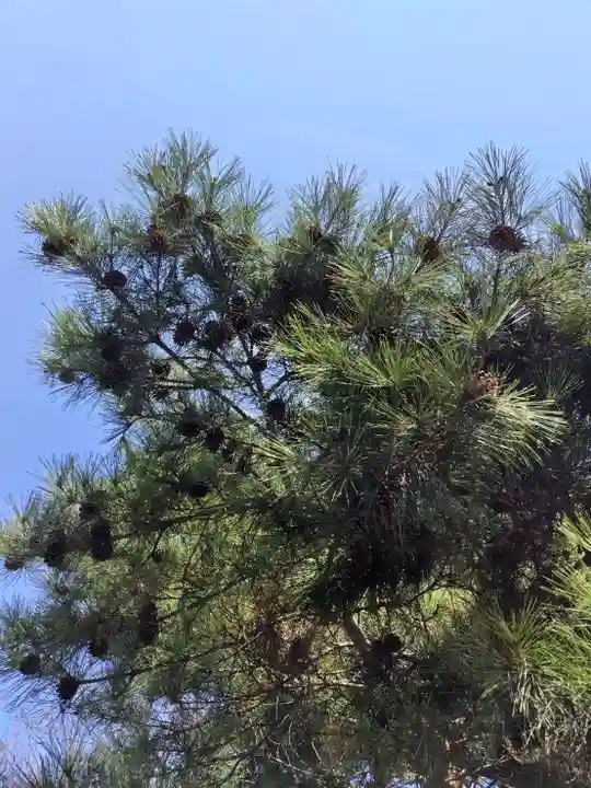 厚別神社(北海道)
