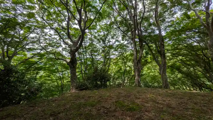 愛宕神社(奈良県)