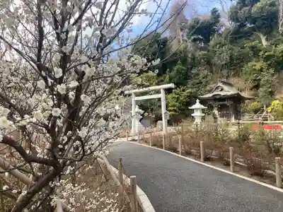 時宗総本山 遊行寺（正式：清浄光寺）(神奈川県)