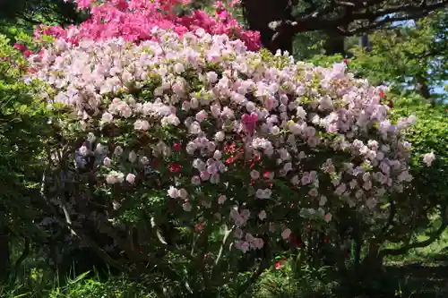 開成山大神宮の庭園