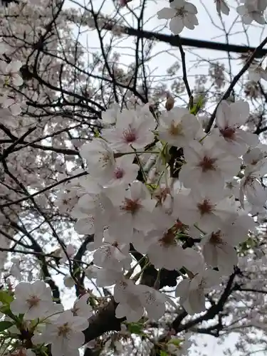 秋葉神社(東京都)