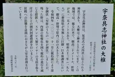 宇奈具志神社(新潟県)