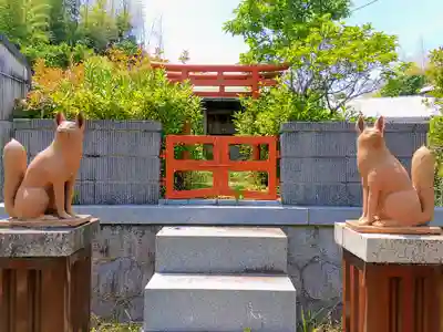 西阿野豊川稲荷の狛犬