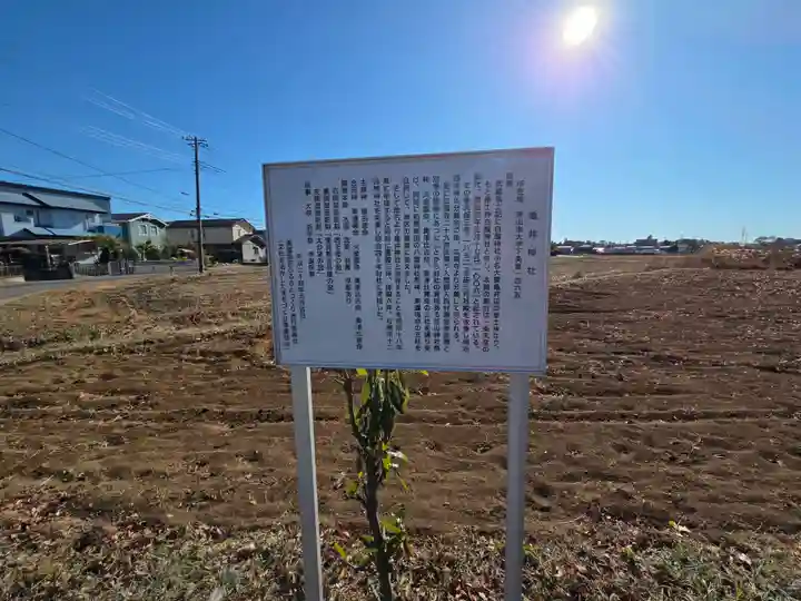 亀井神社(埼玉県)