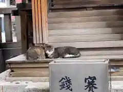 小野照崎神社の動物