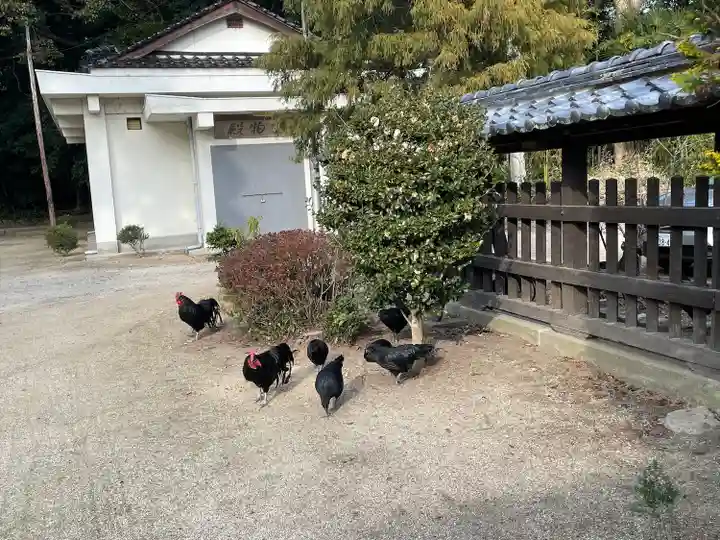 玉祖神社の動物