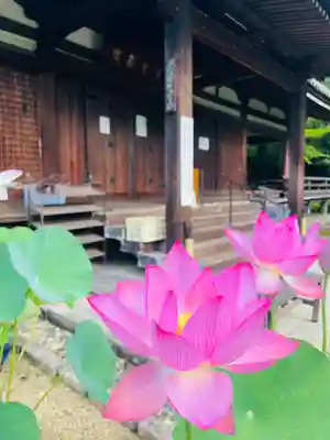 法金剛院(京都府)