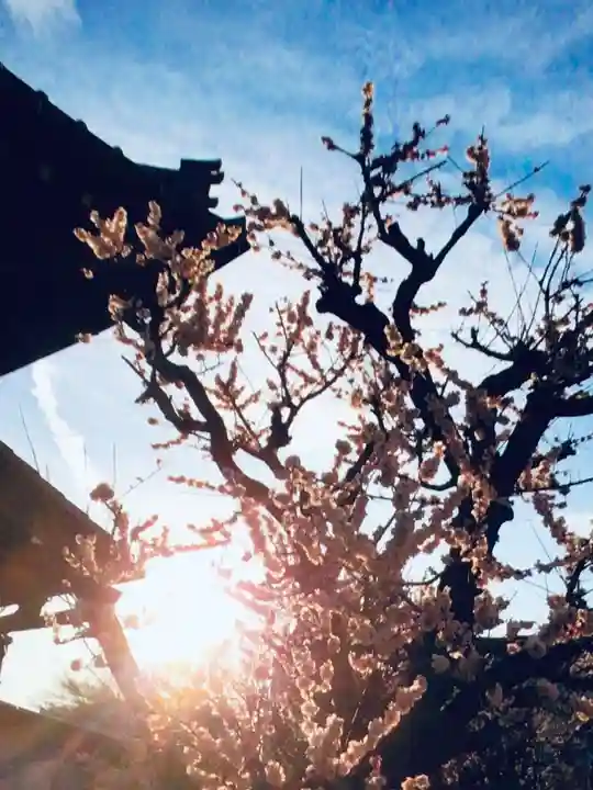 瑞円寺(東京都)