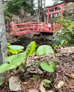 白石神社(北海道)(2024年04月21日(日) 12時55分45秒投稿)