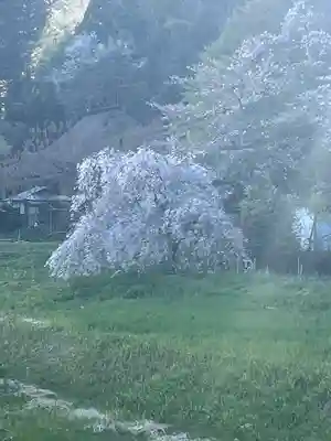 中尊寺(岩手県)