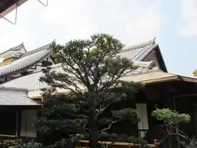 龍泉菴(京都府)