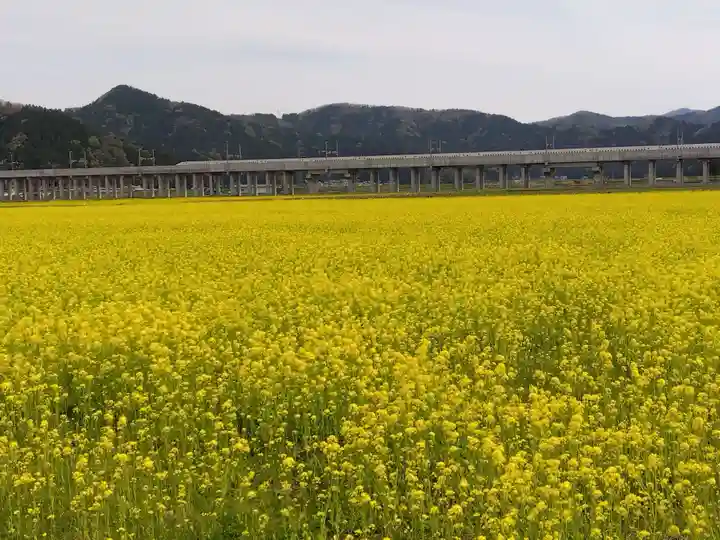 白山神社(福井県)