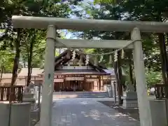 新琴似神社の鳥居