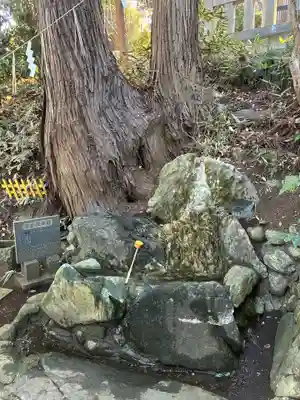 諏訪神社(茨城県)