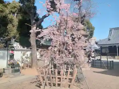 法楽寺(大阪府)