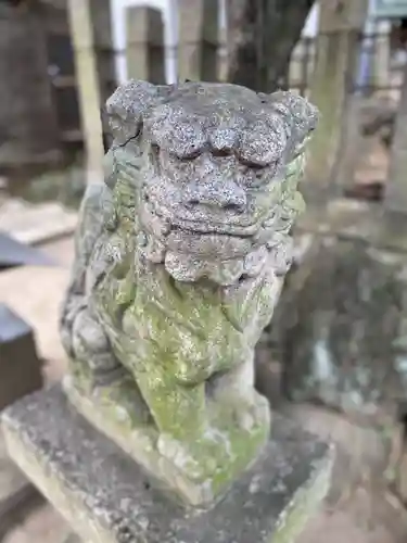 横田神社の狛犬