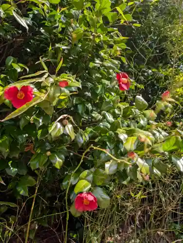 日枝神社の{uncategorized: "未分類", other: "その他", undefined: "問題あり", building: "その他建物", grave: "お墓", sacred_gate: "鳥居", guardian: "狛犬", statue: "像", buddha: "仏像", history: "歴史", nature: "自然", garden: "庭園", animal: "動物", pagoda: "塔", temizu: "手水舎", mountain_gate: "山門・神門", sanctuary: "本殿・本堂", subordinate: "末社・摂社", art: "芸術", scenery: "景色", jizo: "地蔵", ema: "絵馬", goshuin: "御朱印", omikuji: "おみくじ", items: "授与品その他", amulet: "お守り", goshuincho: "御朱印帳", eats: "食事", festival: "お祭り", votive_dance: "神楽", shichigosan: "七五三参", wedding: "結婚式", experience: "体験その他", initially: "初詣", around: "周辺", anti_infection: "感染症対策"}